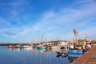 During the day under the blue sky, white and blue boat is sailing on the sea
